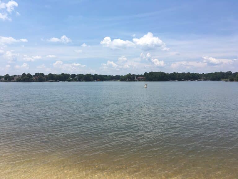 Summer view across Lake Norman from the shallow sandy shoreline at Ramsey Creek Park, with wooded far bank and blue sky